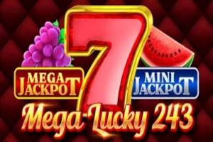 00205 mega lucky 243