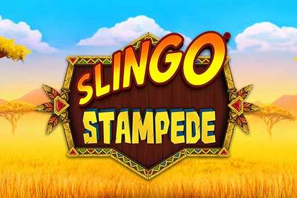 08133 slingo stampede
